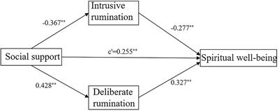 Social Support and Spiritual Well-Being of Patients With Esophageal Cancer Aged Over 50 Years: The Mediating Role of Rumination